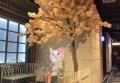 上海闵行区华漕镇附近夜场招聘酒水促销员,全职上班收入多少