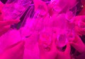 上海普陀区曹杨新村街道附近夜总会招聘酒水促销员,(不用交台费)
