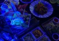 上海松江区小昆山镇附近ktv招聘商务礼仪,求职应聘